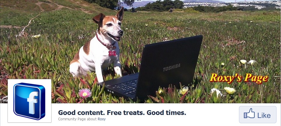 Roxy-page-content-marketing-san-francisco