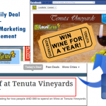 Tenuta Vineyards localgruv socialmktgfella