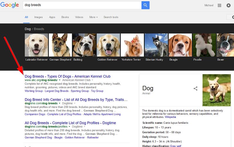 dog-breeds-on-google-serps