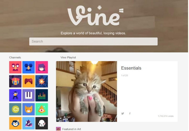 vine3