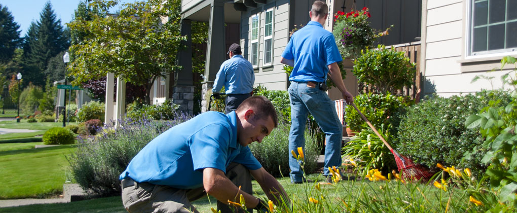 Four landscapers in blue shirts work on the front yard of a house. One man kneels down tending to flowers, while another uses a leaf blower. Two more landscapers trim shrubs and rake leaves, creating a picturesque scene perfect for sharing on social media in this sunny, suburban neighborhood.