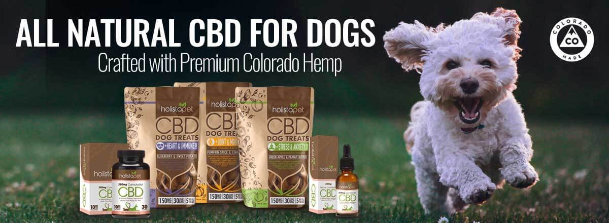 HOLISTAPET_cbd-for-dogs-treats-and-oils_1200x440 - Social ...